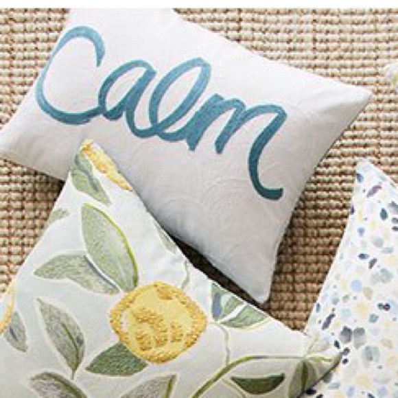 Pottery Barn Reversible Rebecca Atwood Calm Embroidered Lumbar Pillow Cover